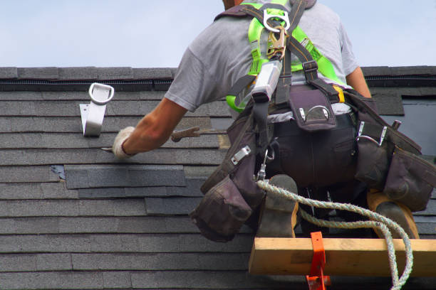 Best Steel Siding Installation  in Garwood, NJ