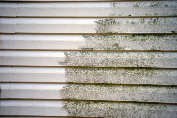 Best Wood Siding Installation  in Garwood, NJ