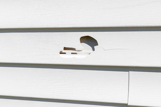 Best Residential Vinyl Siding Installation  in Garwood, NJ